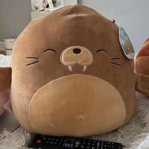 Bruce the squishmallow